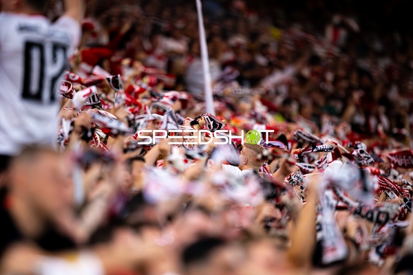 Fans feiern in Stuttgart