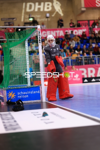 Torwart 77; Deutschland im Torraum