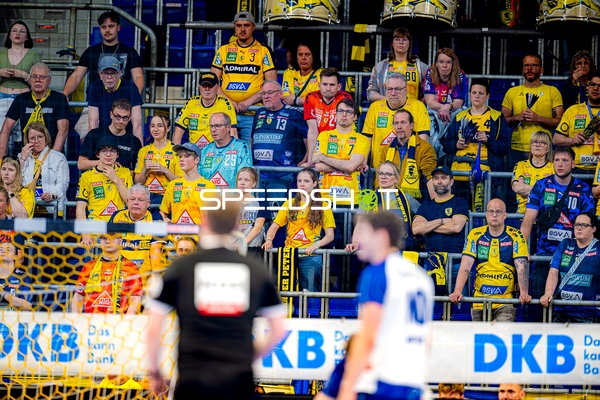 Publikum bei Handballspiel