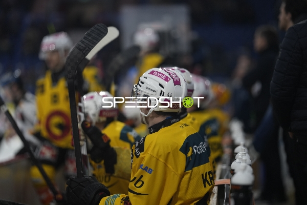 Samuel Kreis (44; SC Bern) an der Bande