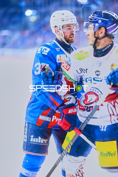 Konfrontation zwischen Adler und Eisbären