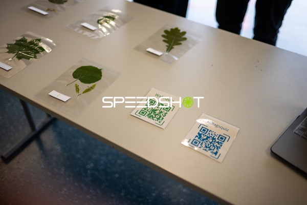 Spielfeld-Impression ohne Aktion