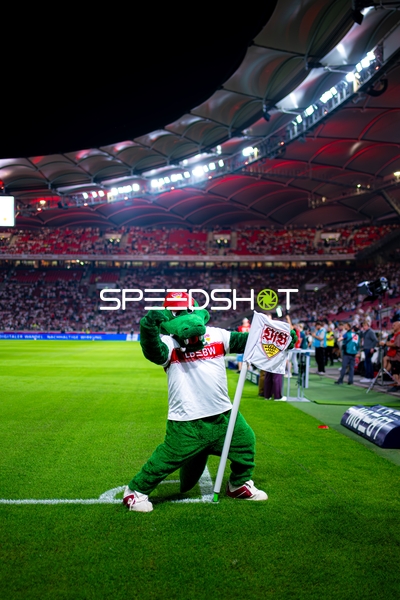 Maskottchen am Spielfeldrand