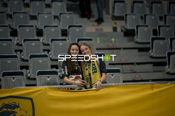 Fan-Szene in der SAP Arena