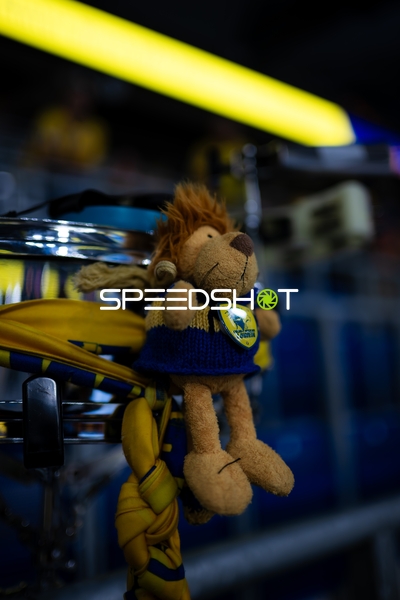 Maskottchen der Rhein Neckar Löwen