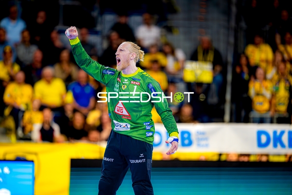 Handball I Herren I Saison 2024-2025 I Daikin HBL I 27. Spieltag I Rhein-Neckar Löwen - DHfK Leipzig I 24.04.2025