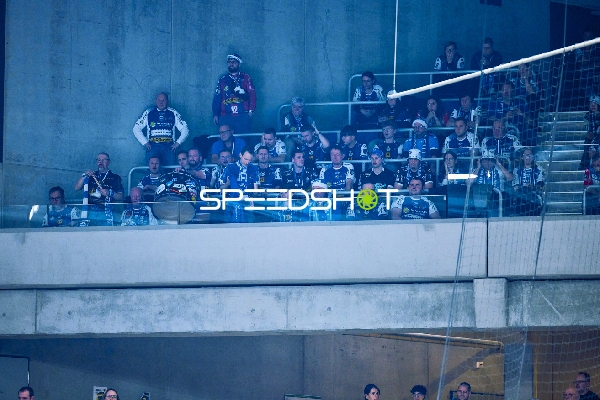 Zuschauer auf der Tribüne während eines Spiels