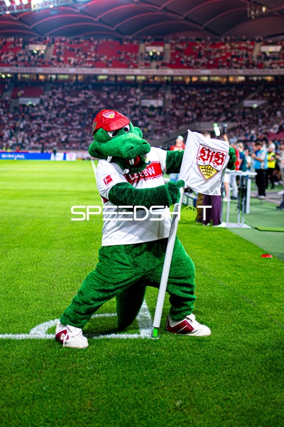 Maskottchen am Eckfahnenbereich