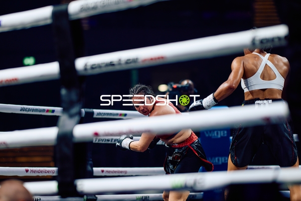 Boxkampf in Ringside Zone