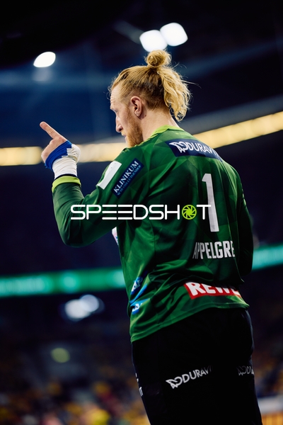 Torwart Mikael Appelgren (1; Rhein Neckar Löwen) in Position