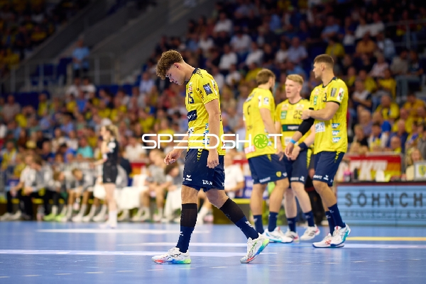 Rhein Neckar Löwen in Position