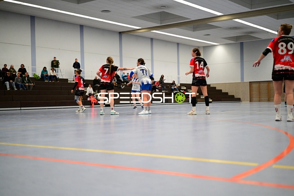 Verteidigung von TVE - Edinger Haie