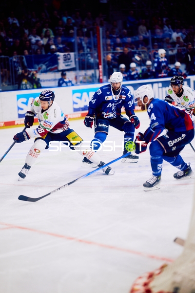 Puckkampf zwischen Adler Mannheim und Eisbären Berlin