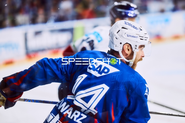 Adler Mannheim in Aktion