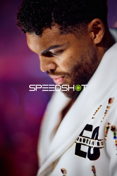 Boxer in der Ringside Zone