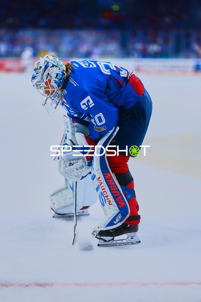 Adler Mannheim Torwart konzentriert sich