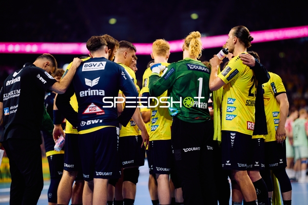 Rhein Neckar Löwen in Pause