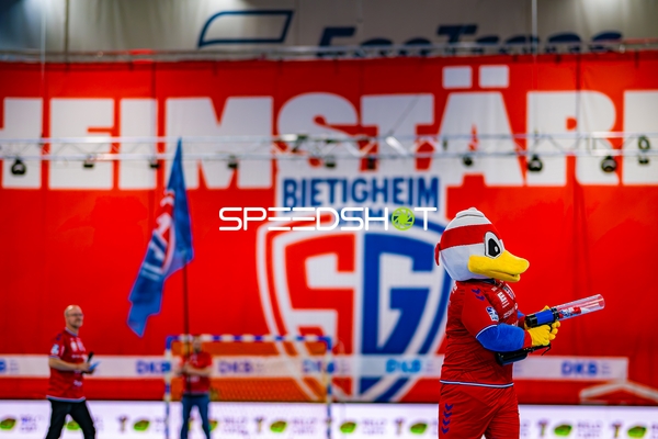 Maskottchen mit Fanartikel