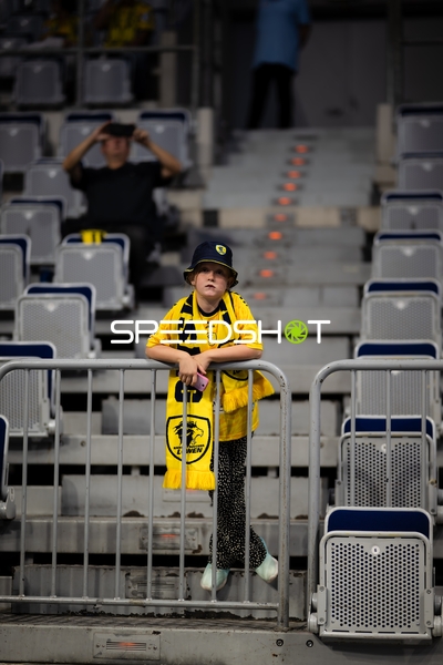 Fan der Rhein Neckar Löwen