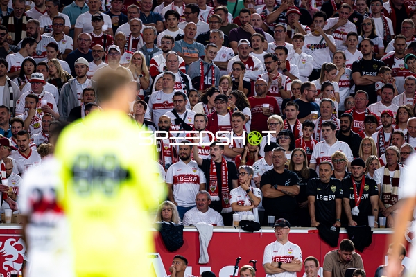VfB Stuttgart Fans im Stadion