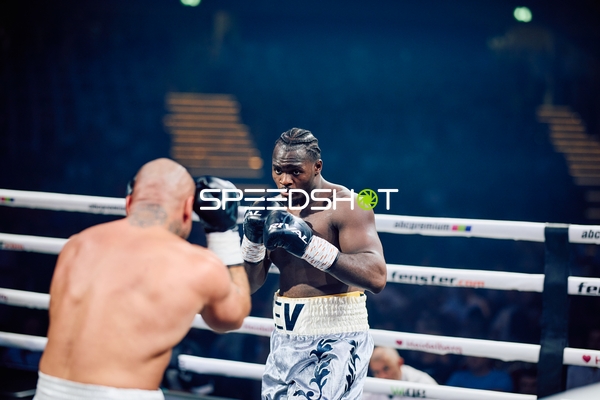 Boxer in Ringside Zone