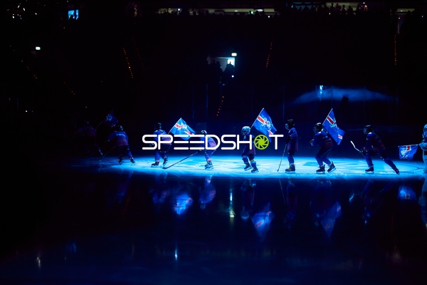 Adler Mannheim Einlauf mit Fahnen