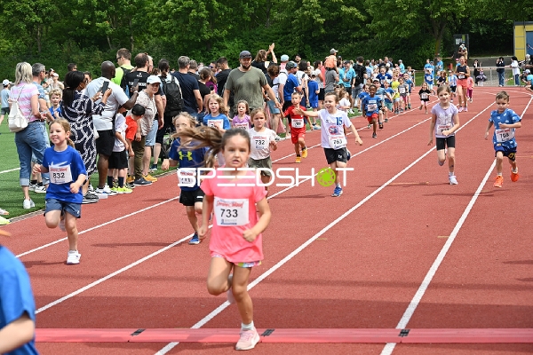 TVE Sommerlauf Edingen 2025