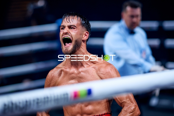 Boxer in Ringside Zone