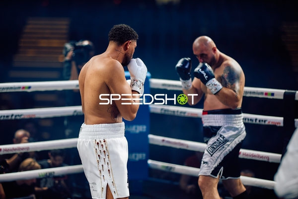 Boxer in Ringside Zone