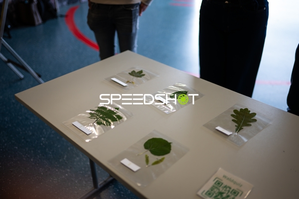 Handball-Spielfeld-Impression