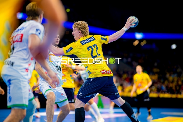 Handball I Herren I Saison 2024-2025 I Daikin HBL I 27. Spieltag I Rhein-Neckar Löwen - DHfK Leipzig I 24.04.2025