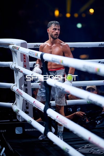 Boxer in Ringside Zone