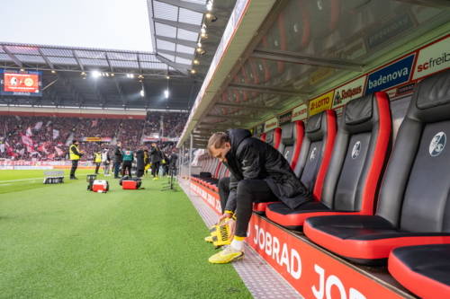 Trainerbank im Fokus