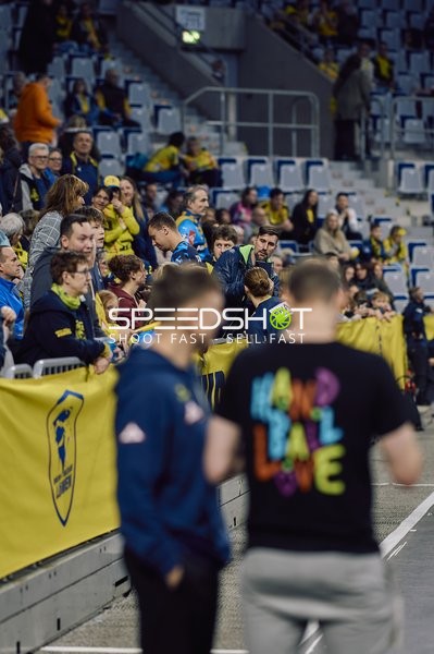 Zuschauer im Stadion, Zuschauerinteraktion