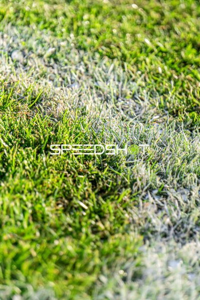 Detailaufnahme der Spielfeldmarkierung im Hamalandstadion Vreden