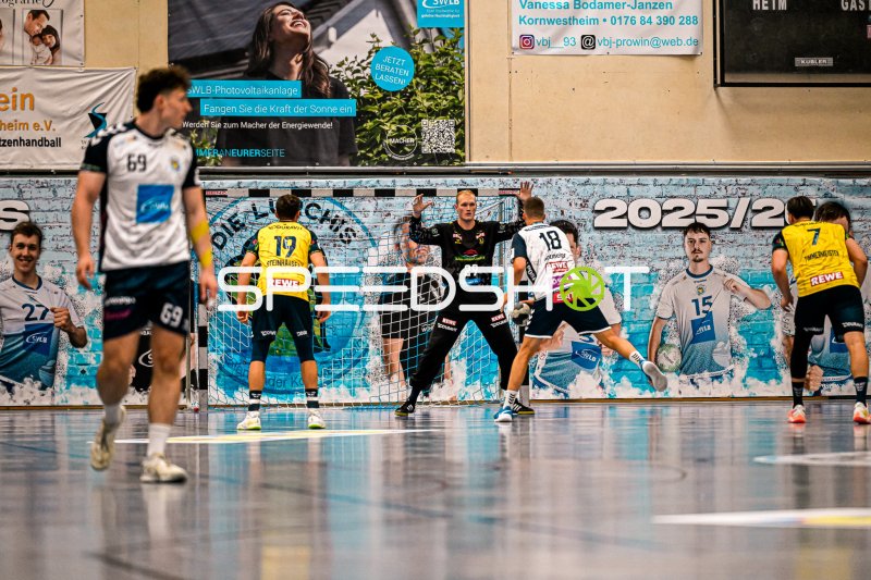 David Späth (#29) hält die Stellung im Tor beim Wurfversuch