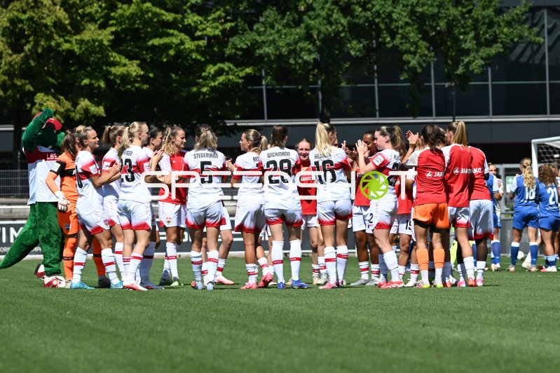 VfB Stuttgart und TSG Hoffenheim beim Handshake nach dem Spiel