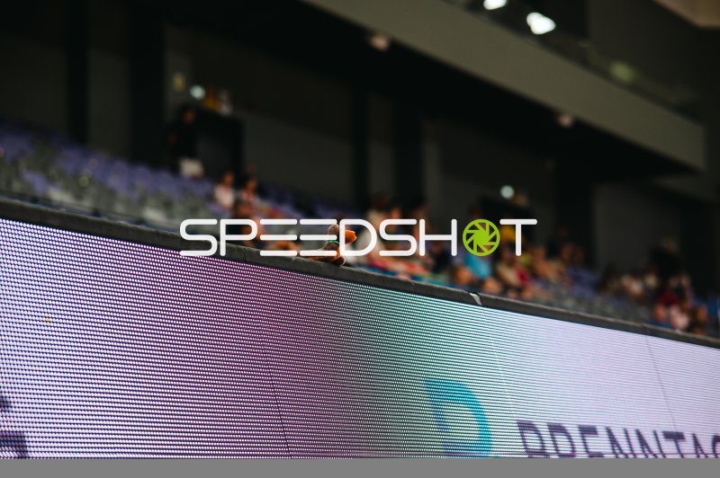 Kuscheltier auf der LED-Bande in der Pitesti Arena