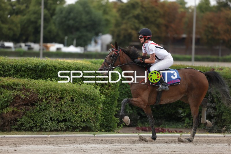 Jockey mit Startnummer 3 auf der Rennbahn Berlin Mariendorf