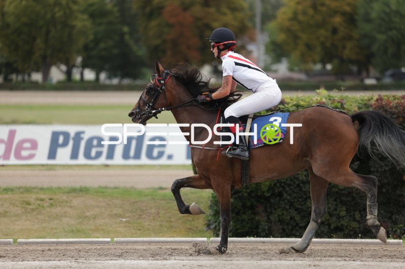 Jockey auf Startnummer 3 im Galopp auf der Rennbahn Mariendorf