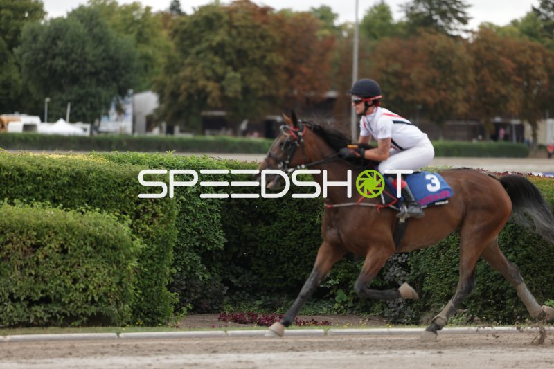 Jockey mit Startnummer 3 im Galopp auf der Rennbahn Mariendorf