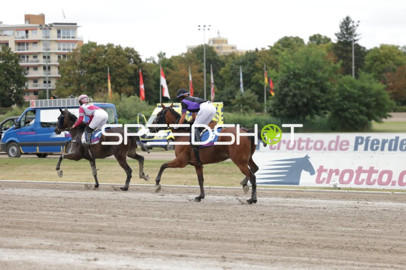 Galopprennen auf der Rennbahn Berlin Mariendorf – Pferd #5 in Führung