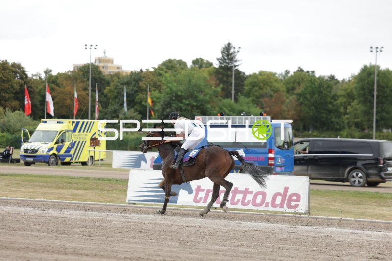 Reiterin auf braunem Pferd im Galopp auf der Rennbahn Mariendorf