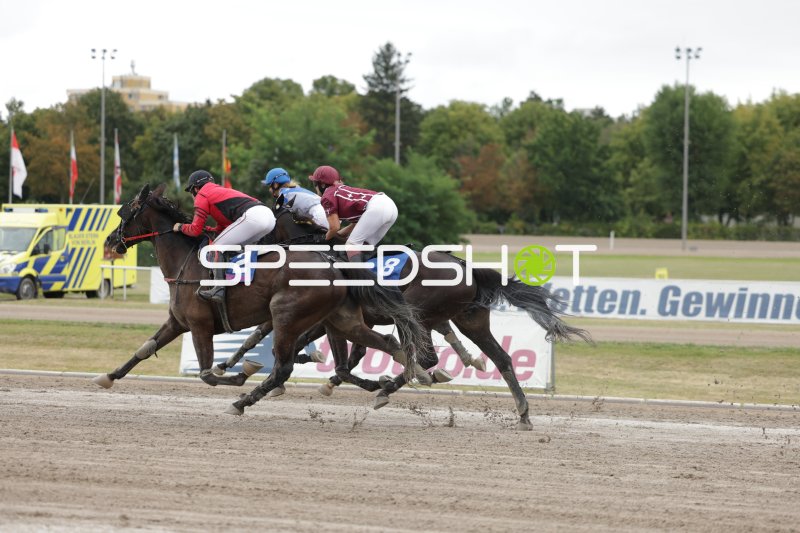 Pferderennen auf der Sandbahn – Jockeys #2 und #8 im Duell