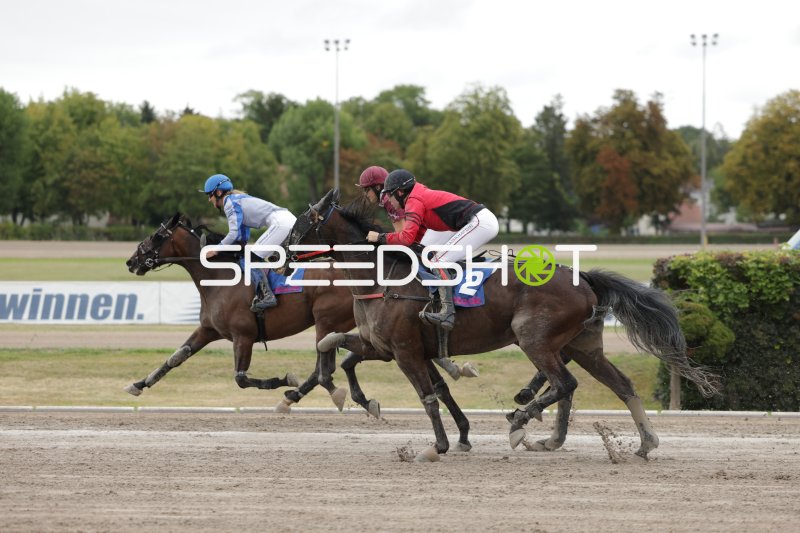 Kopf-an-Kopf-Rennen auf der Sandbahn in Mariendorf