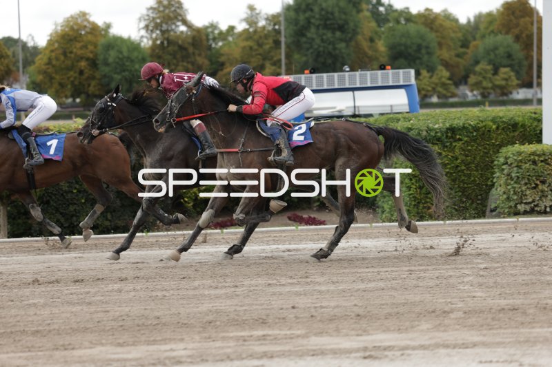 Kopf-an-Kopf-Rennen auf der Sandbahn in Mariendorf