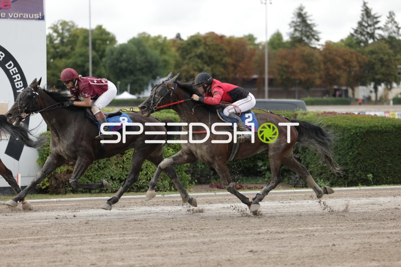 Kopf-an-Kopf-Rennen: Jockey #8 und Jockey #2 auf der Zielgeraden