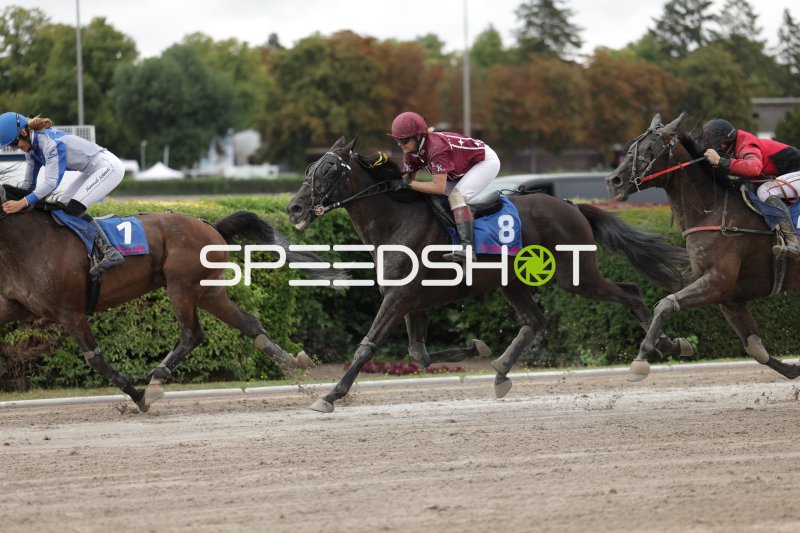 Jockey auf Pferd #8 führt Rennen auf der Rennbahn Berlin Mariendorf
