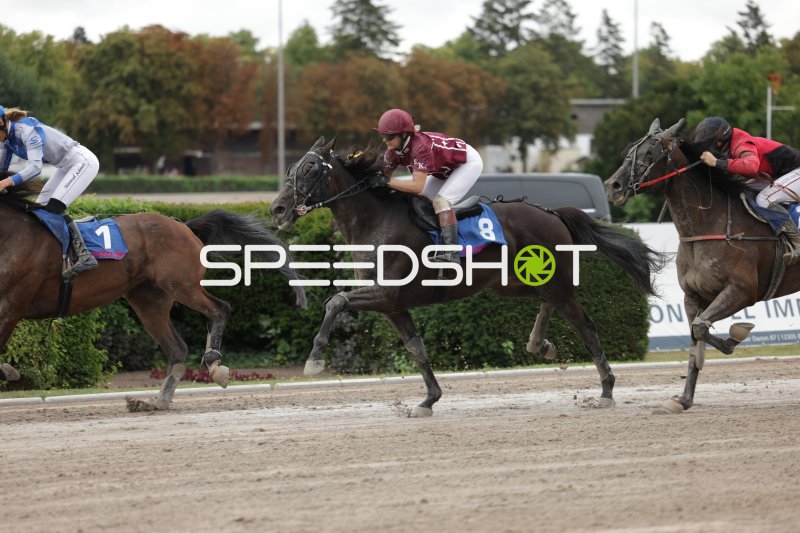 Jockey auf Pferd #8 im Galopp-Rennen auf der Rennbahn Berlin Mariendorf