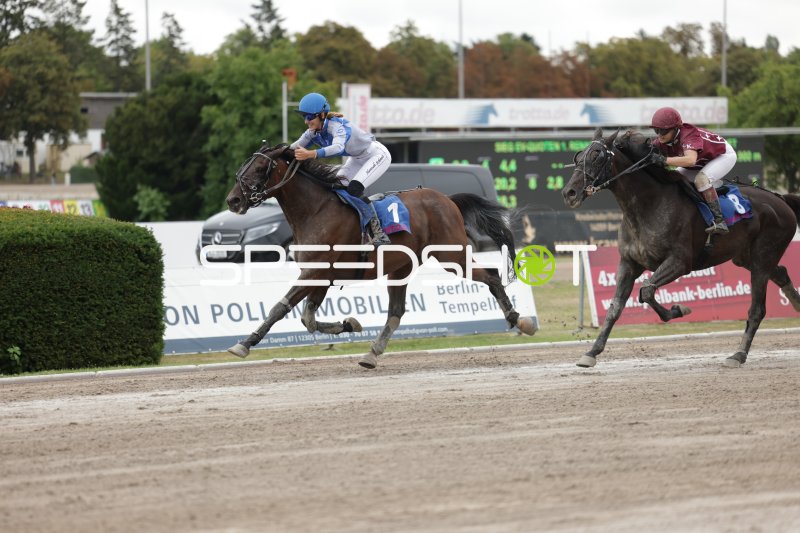 Jockey (#7) führt auf der Zielgeraden in Mariendorf